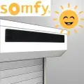 Solaire Somfy RS100
